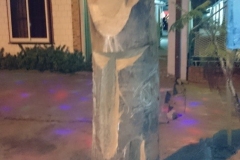 suriname-224