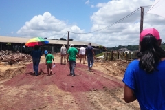 suriname-232