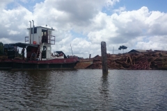 suriname-236